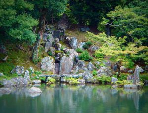 鯉魚石(りぎょせき) 龍門瀑(りゅうもんばく)を登る鯉が、まさに龍に変わるところを表現した石。「登龍門」として有名。 金閣寺鹿苑寺にもあり