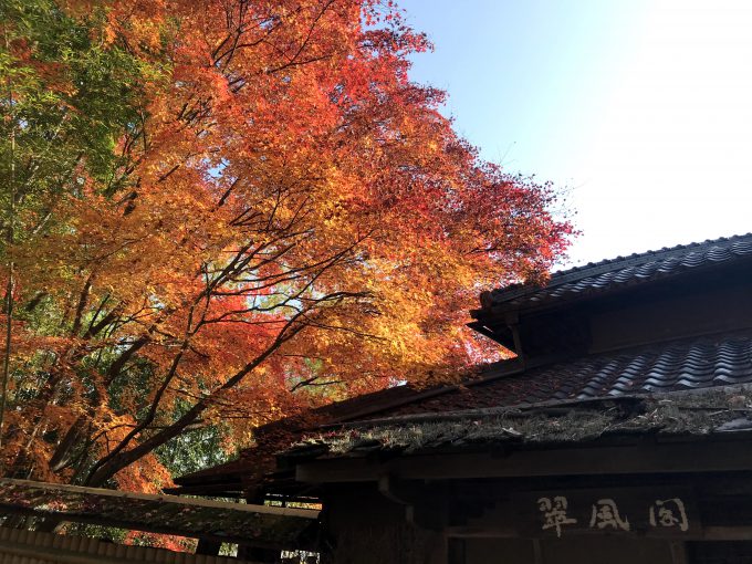 太田の小道の紅葉が美しい