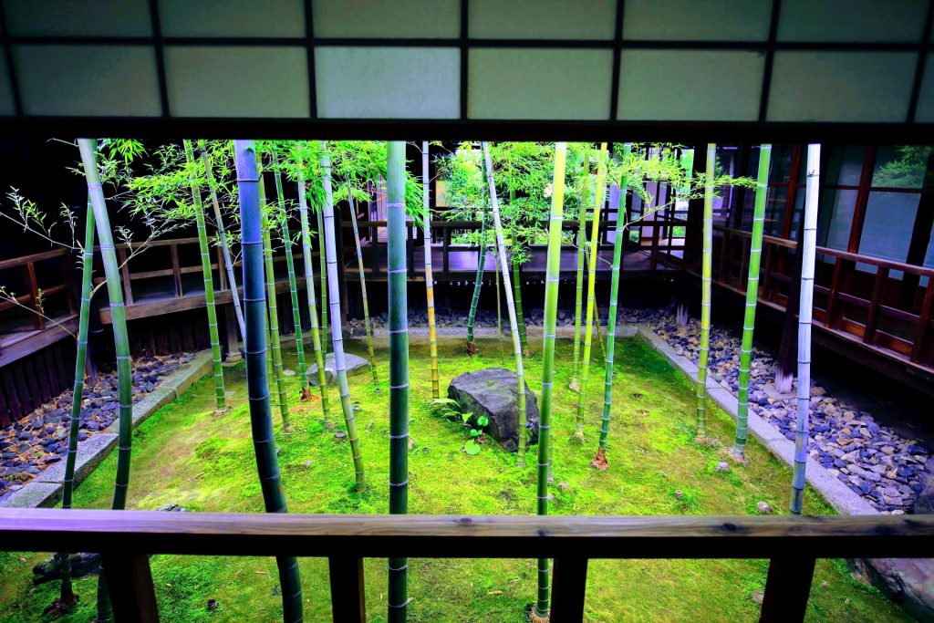 「孟宗竹林の坪庭」五角形の庭面に苔地に孟宗竹